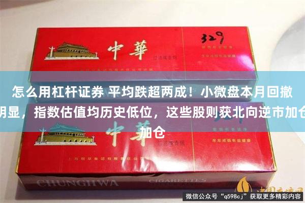 怎么用杠杆证券 平均跌超两成！小微盘本月回撤明显，指数估值均历史低位，这些股则获北向逆市加仓