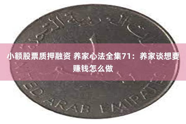 小额股票质押融资 养家心法全集71：养家谈想要赚钱怎么做