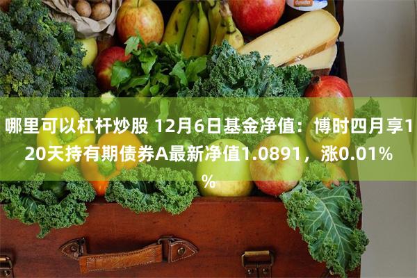 哪里可以杠杆炒股 12月6日基金净值：博时四月享120天持有期债券A最新净值1.0891，涨0.01%