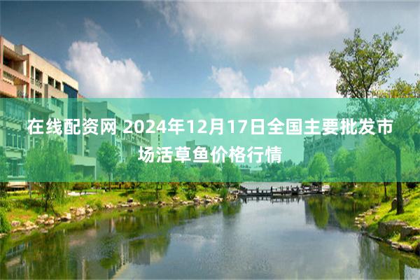 在线配资网 2024年12月17日全国主要批发市场活草鱼价格行情