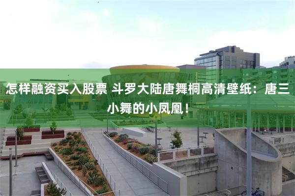 怎样融资买入股票 斗罗大陆唐舞桐高清壁纸：唐三小舞的小凤凰！