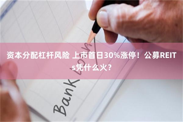 资本分配杠杆风险 上市首日30%涨停！公募REITs凭什么火？