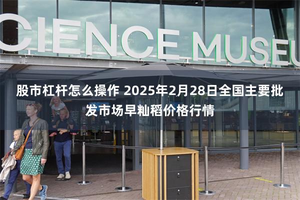 股市杠杆怎么操作 2025年2月28日全国主要批发市场早籼稻价格行情