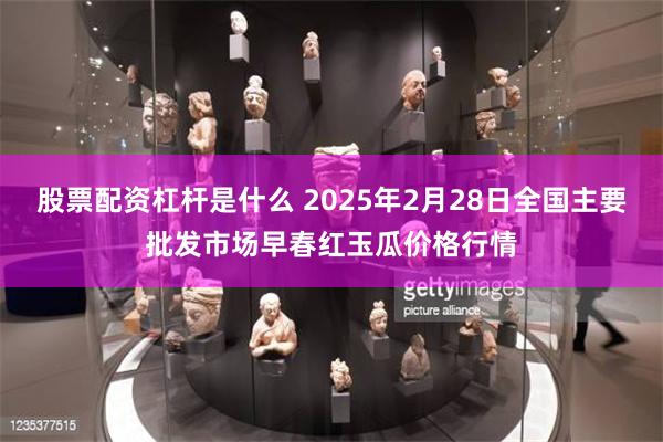 股票配资杠杆是什么 2025年2月28日全国主要批发市场早春红玉瓜价格行情