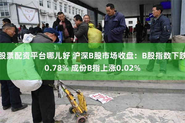 股票配资平台哪儿好 沪深B股市场收盘：B股指数下跌0.78% 成份B指上涨0.02%