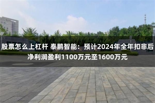 股票怎么上杠杆 泰鹏智能：预计2024年全年扣非后净利润盈利1100万元至1600万元